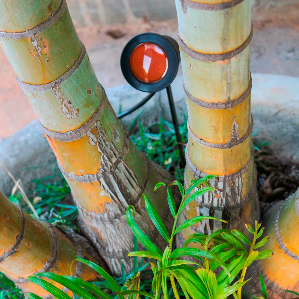 Espeto Com LED E Troca Cor Da Lente - imagem 4